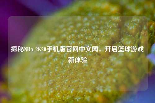 探秘NBA 2K20手机版官网中文网,开启篮球游戏新体验