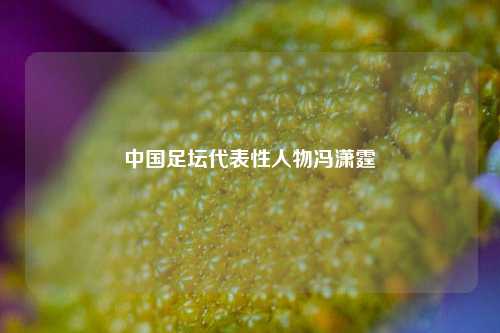 中国足坛代表性人物冯潇霆