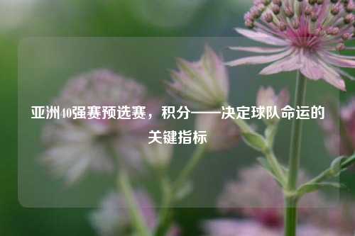 亚洲40强赛预选赛,积分——决定球队命运的关键指标