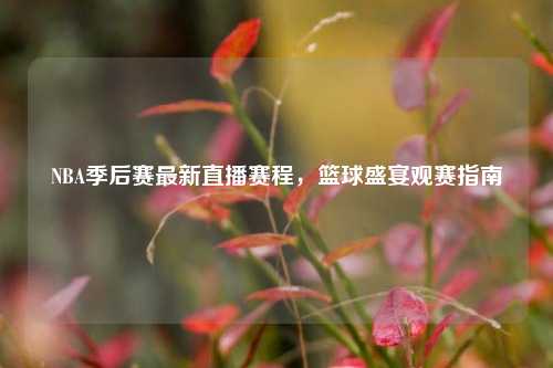 NBA季后赛最新直播赛程,篮球盛宴观赛指南