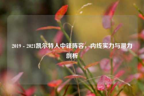 2019 - 2021凯尔特人中锋阵容,内线实力与潜力剖析