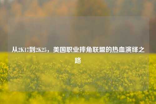 从2K17到2K25,美国职业摔角联盟的热血演绎之路