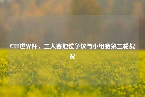 WTT世界杯,三大赛地位争议与小组赛第三轮战况