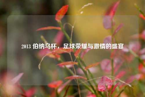 2013 伯纳乌杯,足球荣耀与 的盛宴