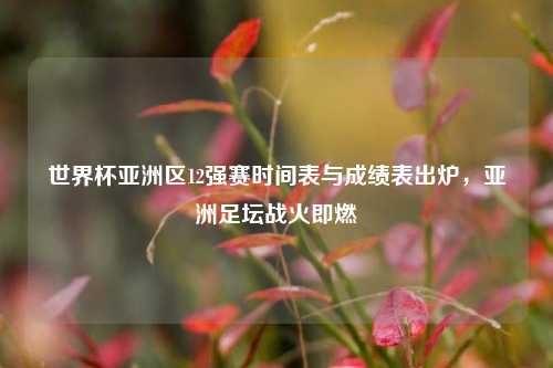 世界杯亚洲区12强赛时间表与成绩表出炉,亚洲足坛战火即燃