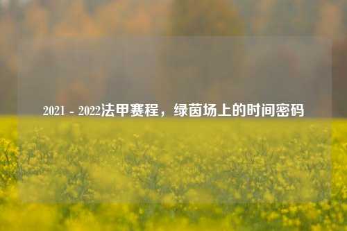 2021 - 2022法甲赛程,绿茵场上的时间密码
