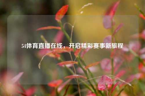 54体育直播在线,开启精彩赛事新旅程