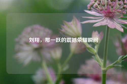 刘翔,那一跃的震撼荣耀瞬间