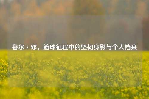 鲁尔·邓,篮球征程中的坚韧身影与个人档案