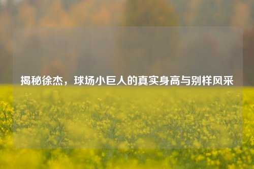 揭秘徐杰,球场小巨人的真实身高与别样风采