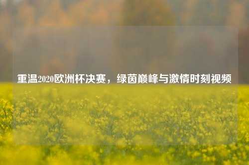 重温2020欧洲杯决赛,绿茵巅峰与 时刻视频