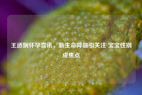 王适娴怀孕喜讯,新生命降临引关注 宝宝性别成焦点