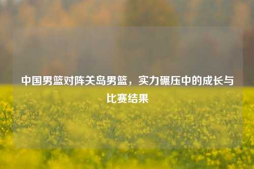 中国男篮对阵关岛男篮,实力碾压中的成长与比赛结果