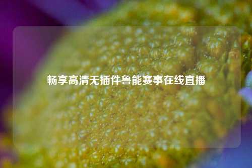 畅享高清无插件鲁能赛事在线直播