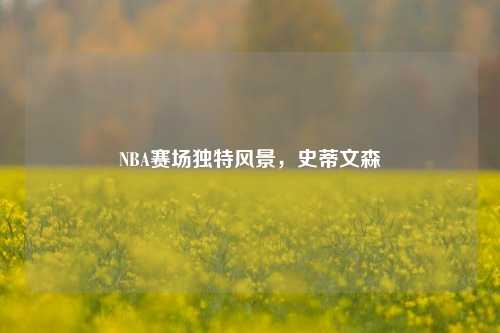 NBA赛场独特风景,史蒂文森