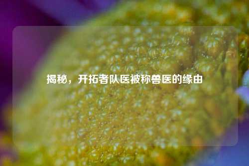 揭秘,开拓者队医被称兽医的缘由