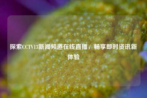 探索CCTV13新闻频道在线直播,畅享即时资讯新体验