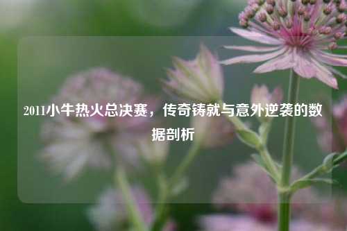 2011小牛热火总决赛,传奇铸就与意外逆袭的数据剖析