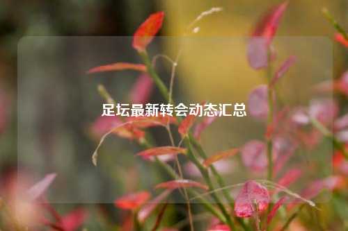 足坛最新转会动态汇总