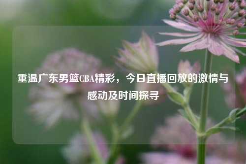 重温广东男篮CBA精彩,今日直播回放的 与感动及时间探寻