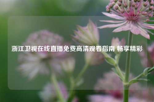 浙江卫视在线直播免费高清观看指南 畅享精彩