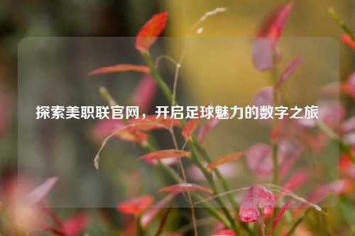 探索美职联官网,开启足球魅力的数字之旅