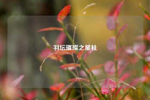 羽坛璀璨之星杜玥