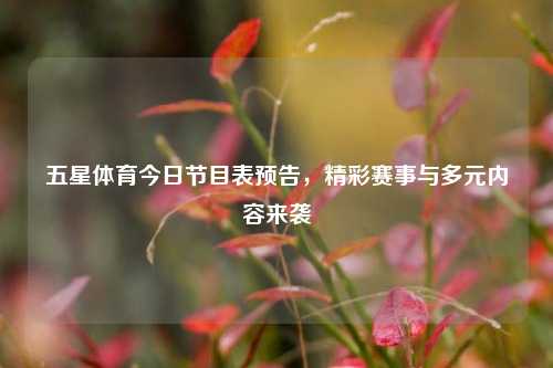 五星体育今日节目表预告,精彩赛事与多元内容来袭