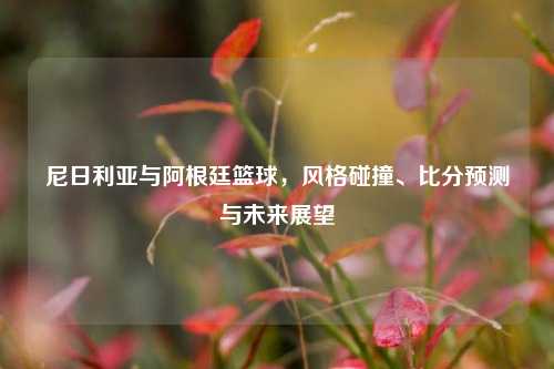 尼日利亚与阿根廷篮球,风格碰撞、比分预测与未来展望