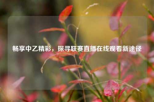 畅享中乙精彩,探寻联赛直播在线观看新途径