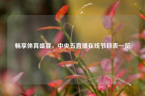 畅享体育盛宴,中央五直播在线节目表一览