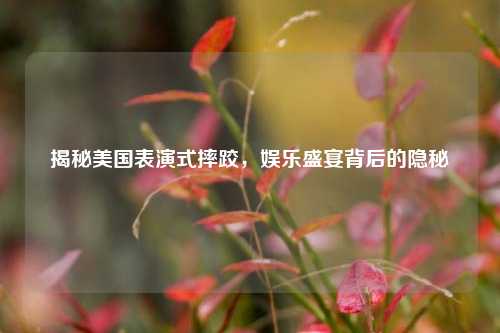 揭秘美国表演式摔跤,娱乐盛宴背后的隐秘