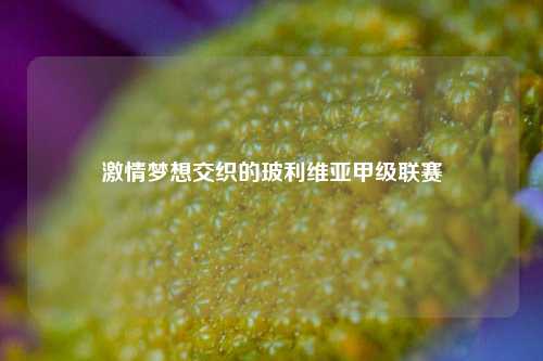 梦想交织的玻利维亚甲级联赛