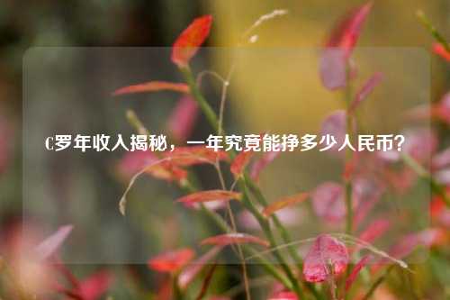 C罗年收入揭秘,一年究竟能挣多少人民币?