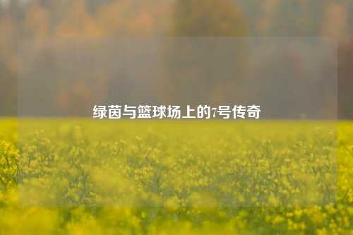 绿茵与篮球场上的7号传奇