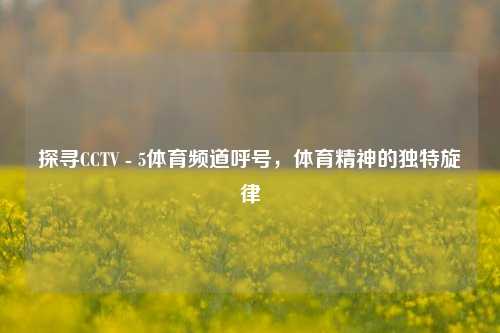探寻CCTV - 5体育频道呼号,体育精神的独特旋律