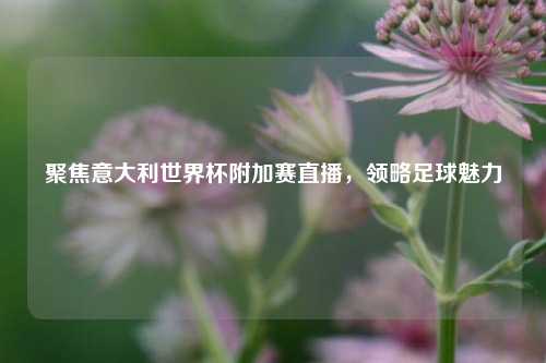 聚焦意大利世界杯附加赛直播,领略足球魅力