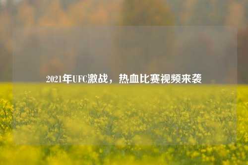 2021年UFC激战,热血比赛视频来袭