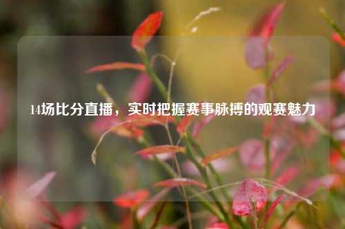 14场比分直播,实时把握赛事脉搏的观赛魅力