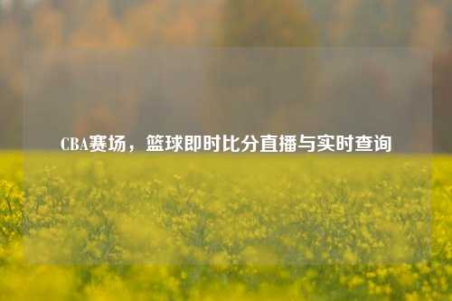 CBA赛场,篮球即时比分直播与实时查询