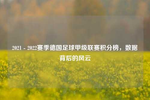 2021 - 2022赛季德国足球甲级联赛积分榜,数据背后的风云