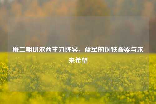 穆二期切尔西主力阵容,蓝军的钢铁脊梁与未来希望