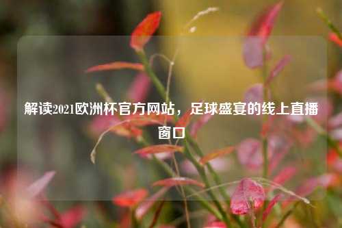 解读2021欧洲杯官方网站,足球盛宴的线上直播窗口