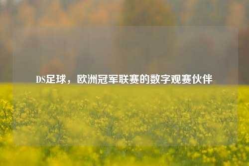 DS足球,欧洲冠军联赛的数字观赛伙伴