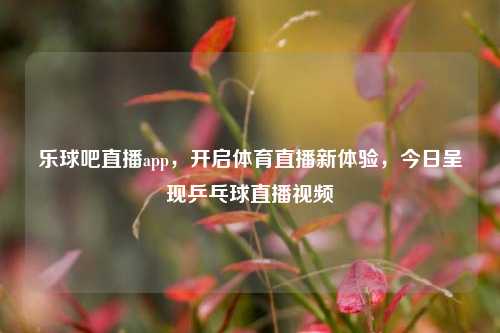 乐球吧直播app,开启体育直播新体验,今日呈现乒乓球直播视频
