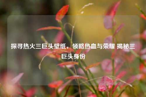 探寻热火三巨头壁纸,领略热血与荣耀 揭秘三巨头身份