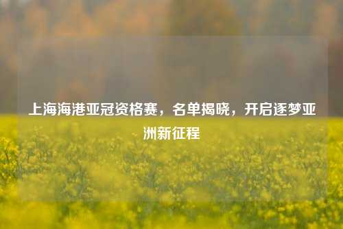 上海海港亚冠资格赛,名单揭晓,开启逐梦亚洲新征程