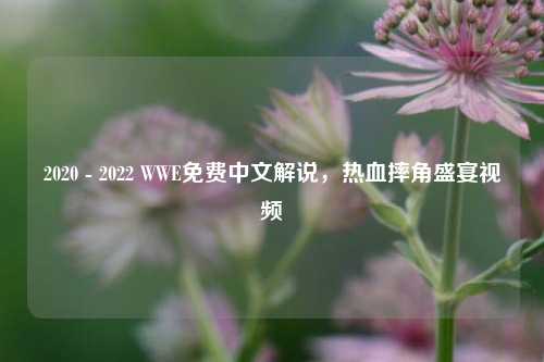 2020 - 2022 WWE免费中文解说,热血摔角盛宴视频