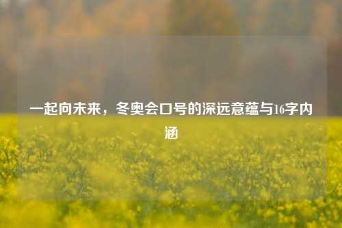 一起向未来,冬奥会口号的深远意蕴与16字内涵