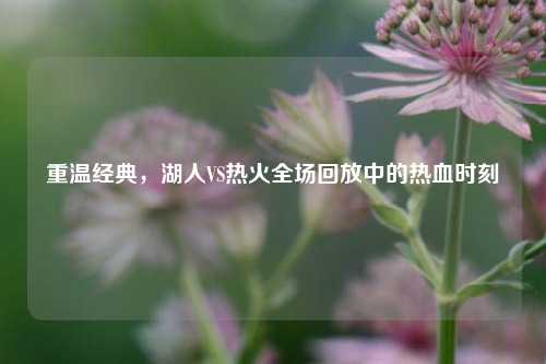 重温经典,湖人VS热火全场回放中的热血时刻